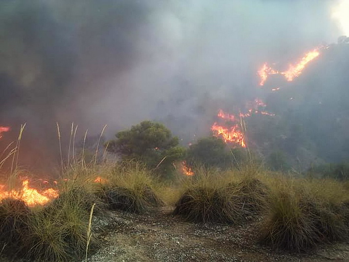 La Guardia Civil investiga al presunto autor de un incendio forestal en Lújar